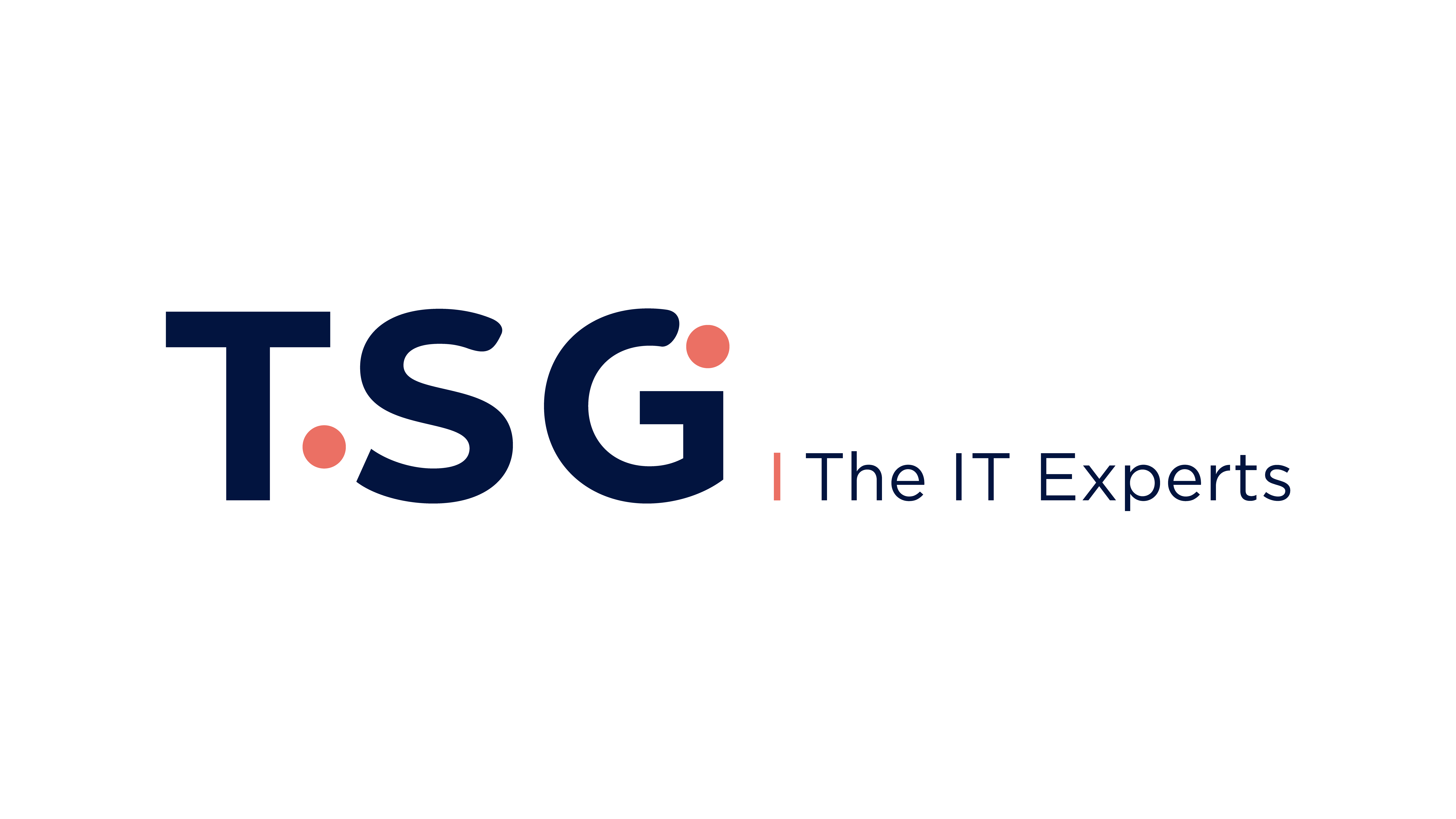 Tsg The It Expert SAS