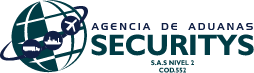 Agencia De Aduanas Securitys