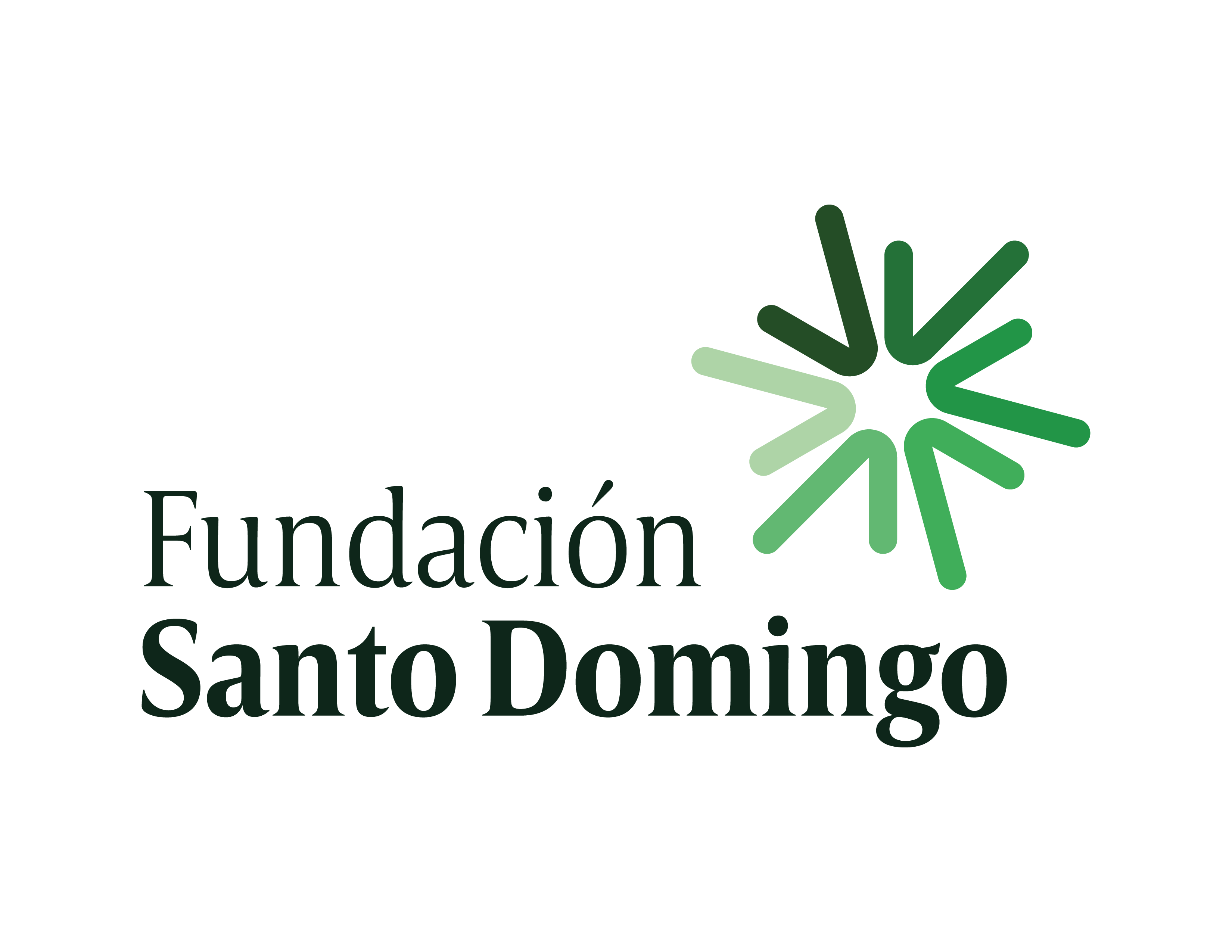 Fundación Santo Domingo - Fsd