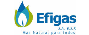 Efigas Gas Natural S.a. E.s.p.